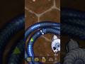 #worm zone🎯#gaming #gamer #gameplay #trendingshorts #trending#shortvideo #shorts #shortsfeed #durbin