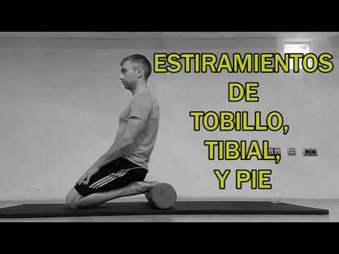 La guía completa