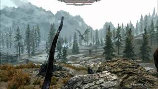 I thought we were fighting together Giant and Mammoths... (Skyrim)