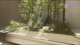 Introductory Video Peacock Feather screenshot 2