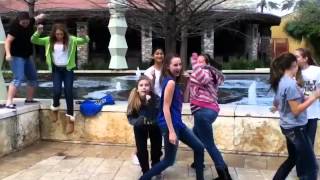 Harlem Shake - 14u Softball Team