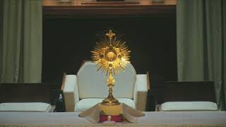 Holy Rosary and Daily Mass, 07/14/2026