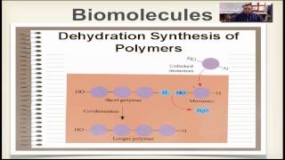 Chapter 2B Part 3 - Dehydration Synthesis & Hydrolysis
