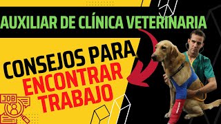 Por qué los auxiliares de veterinaria no encuentran trabajo