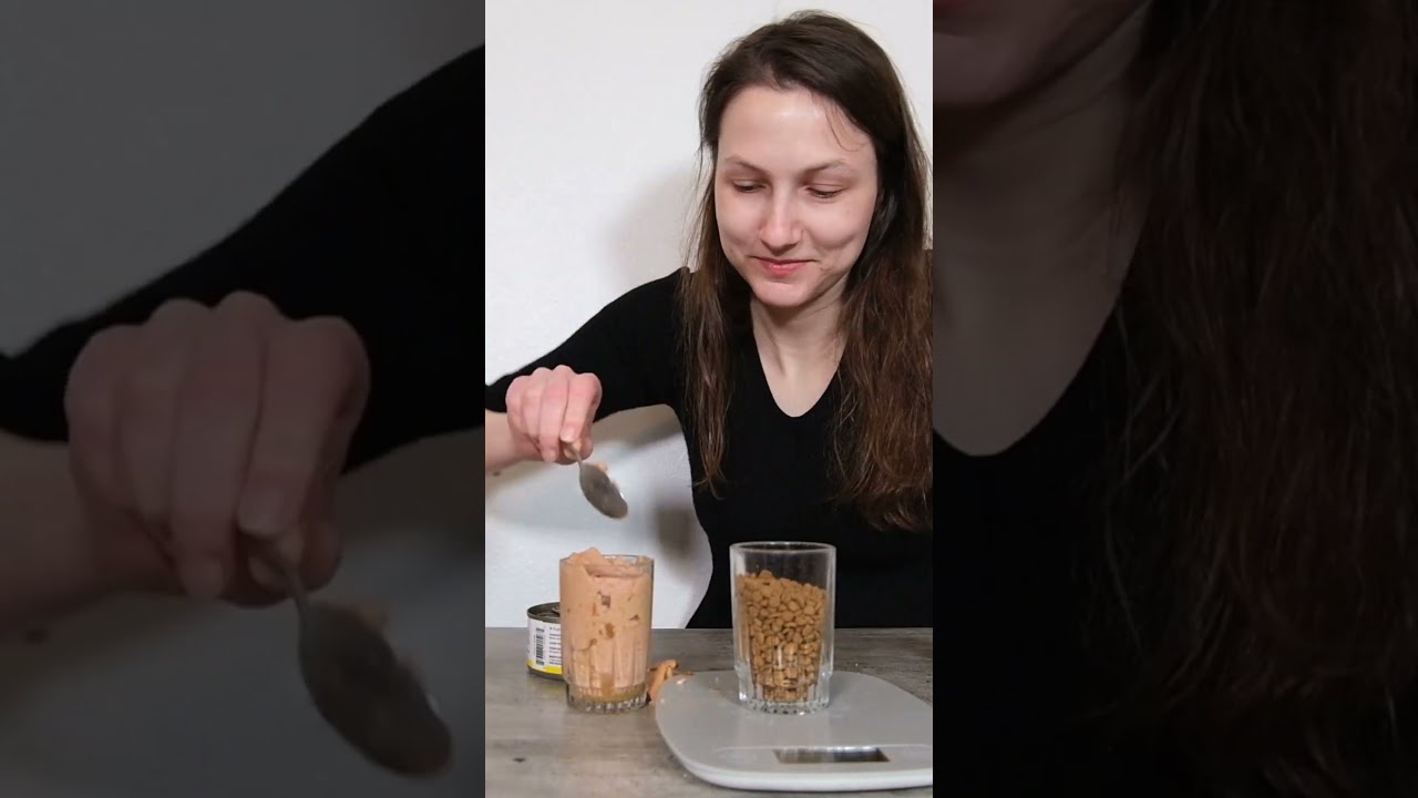 Why Kibble Doesn T Satisfy Your Cat Shorts