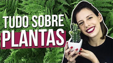 O que cai sobre Botanica no Enem?