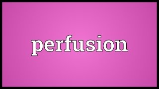 Perfusion Meaning