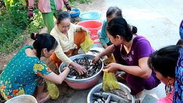 Bán Cá Trên Đường Quê ● Nghề Đặt Lú Bắt Cá Trên Sông | Nét Quê Channel