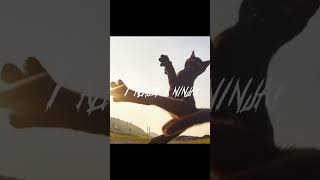I wanna be ninja #remix #cat #fyp #fypシ #ninja #memes #recomended #funny