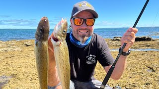 Catching King George Whiting on Soft Plastics Landbase screenshot 4