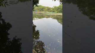 Download Lagu 18 June, 2024 MP3