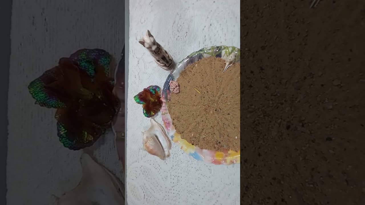 القراءة بالرمال والودع لبرج العقرب 🦞🦞🦞