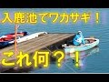 わかさぎ釣り　入鹿池