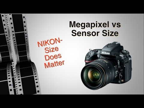 Nikon - Size