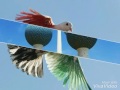 صورة علم الكويت 