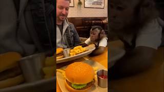 අපේ ආයතනයේ තිබෙන Waiter Interview වලට සාර්ථකව මුහුණ දෙන ආකාරය 👩🏻💼📞037 7 300 300 #waiter #hotel