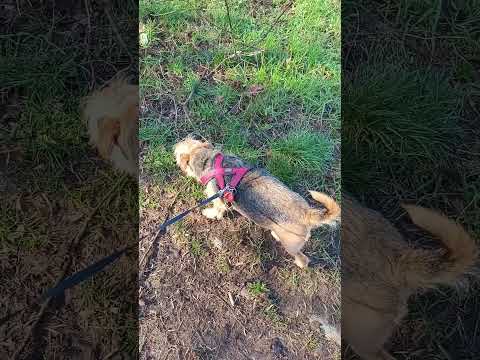 SPACERO: ORIGINS Teaser Trailer