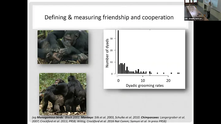 SEEM 2022 03 24 Catherine Crockford: "Oxytocin & cooperative behaviour in wild chimpanzees"