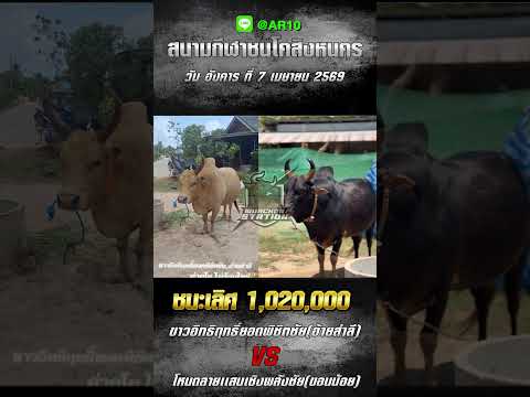 7 เมษายน เจอกัน สิงหนคร