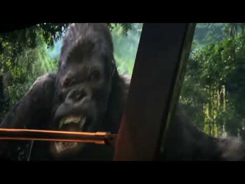 Skull Island: Reign of Kong 2026 #kingkong #universalstudios