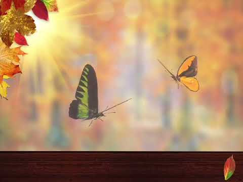 ПІЗНЯ ОСІНЬ ВЖЕ НАСТАЛА пізнавально природниче заняття для дітей середнього дошкільного віку 