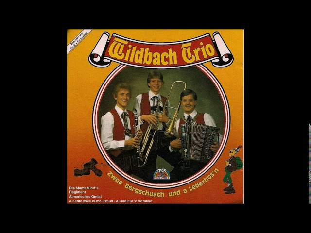 Wildbach Trio - Nur Koan Neid Liabe Leut