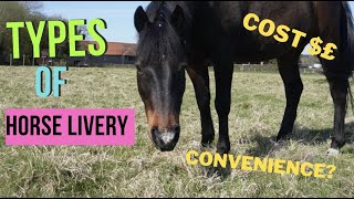 DIFFERENT TYPES OF HORSE LIVERY - What you need to know for your first horse