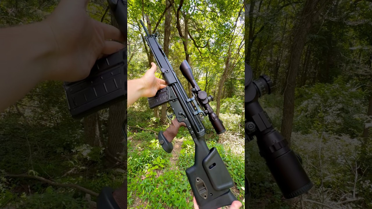 PSG1 at Home (HK SR9T)