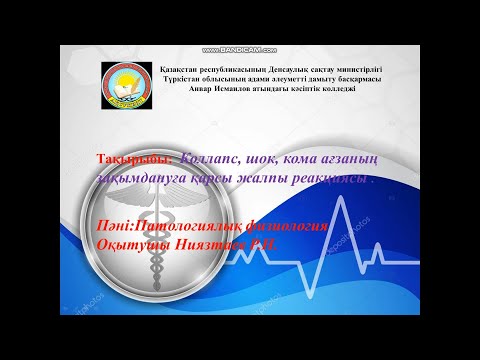 Бейне: Коллапс дегеніміз не: анықтамасы, себептері, салдары