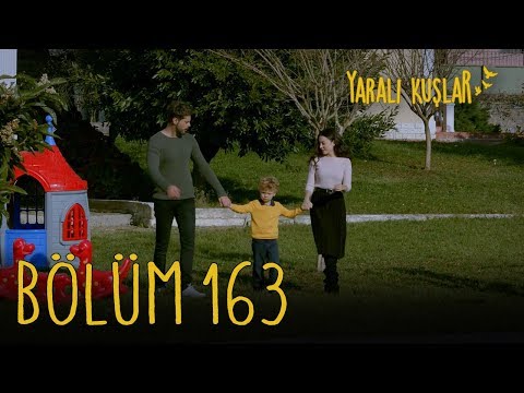 Yaralı Kuşlar 163. Bölüm