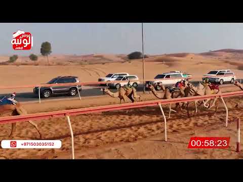 الشوط  الشاهينيه ل عبدالله الشريجي الشاوي الغفلي   شارة الديوان    حقايق اللبسه