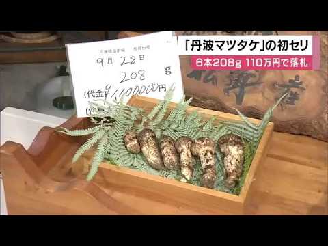 Six matsutake mushrooms sold for a record-breaking 1.1 million yen. "They're the best. The aroma ...