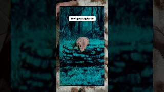 An update ❤️‍🩹 with rats to hold your attention 😂 #rats