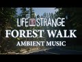 Life is strange ambient music  forest walk  relaxing sleeping studying