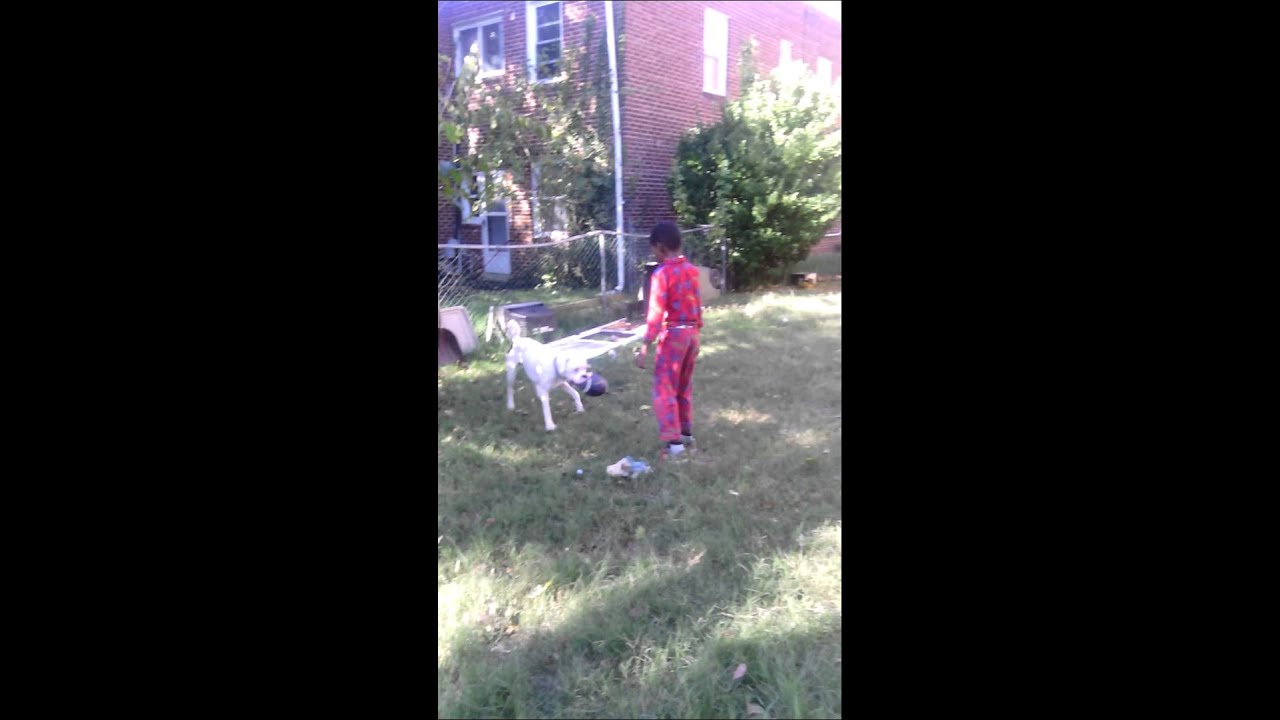 Son couldn't catch boxer