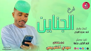 الفنان مجدي الشويحي 2026 فرع الجناين #تسجيلات_الغزال_الاسمر_ودحسان 