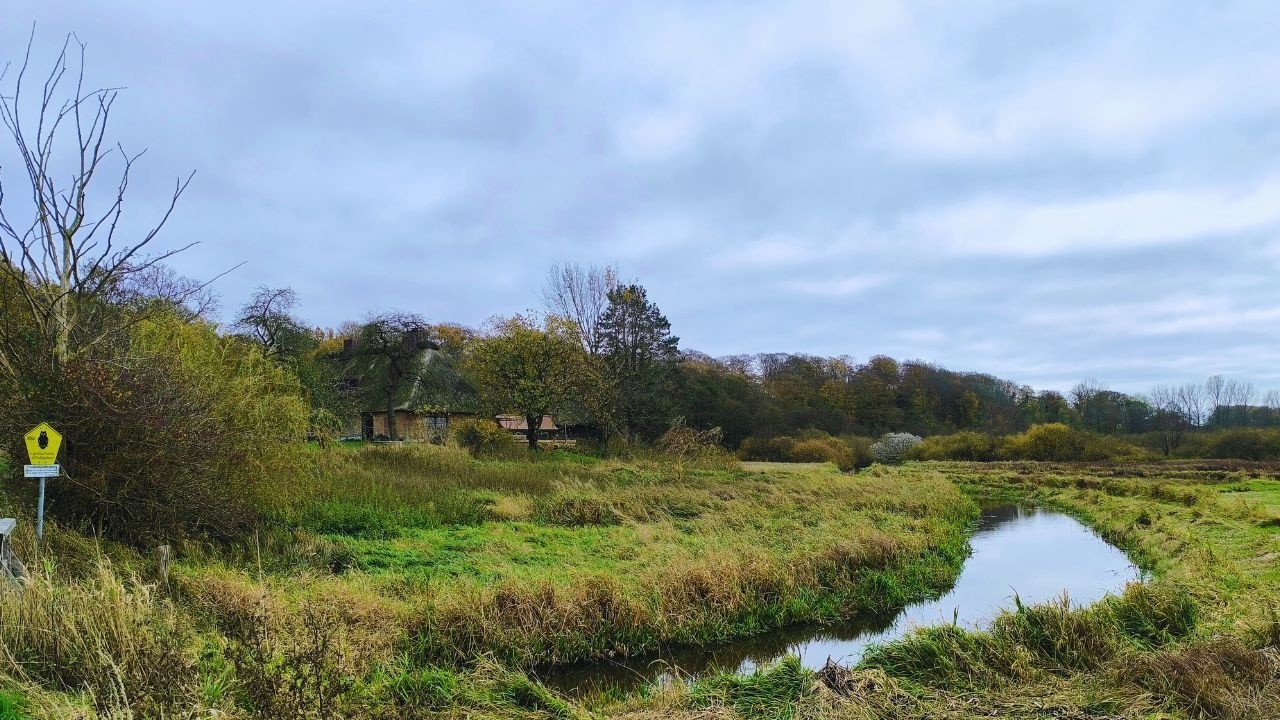 Тишина ноября: Прогулка вокруг Боткампер-Зе | Осенние краски и миграция птиц