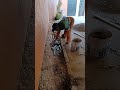 Mastering Wall Siding with Cement, Sand, and Gravel: A Unique Step-by-Step Guide(Part 1)