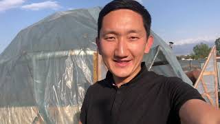 картинка: Биогазовая установка. Аквапоника