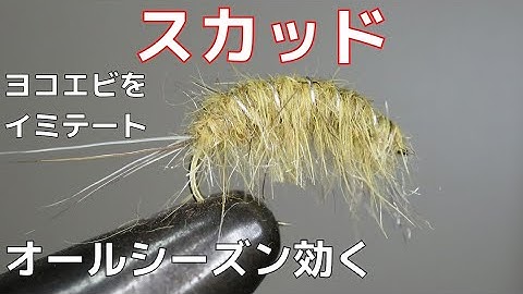 ヨコエビ Youtube