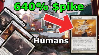 This Deck Spiked a Card 640%!!! Modern Mono White Humans (Challenge Winning Decklist MTG)