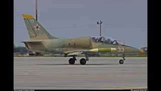 DCS World L-39ZA Albatros  start-up