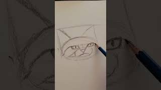 Cat sketch #shorts #short #sketchbook #art