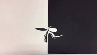 Abstract stop frame animation (1)
