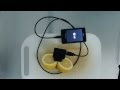 Lemon phone charger || Viral Video UK