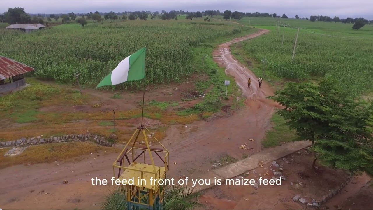 THIS IS NFGCS FARM ESTATE