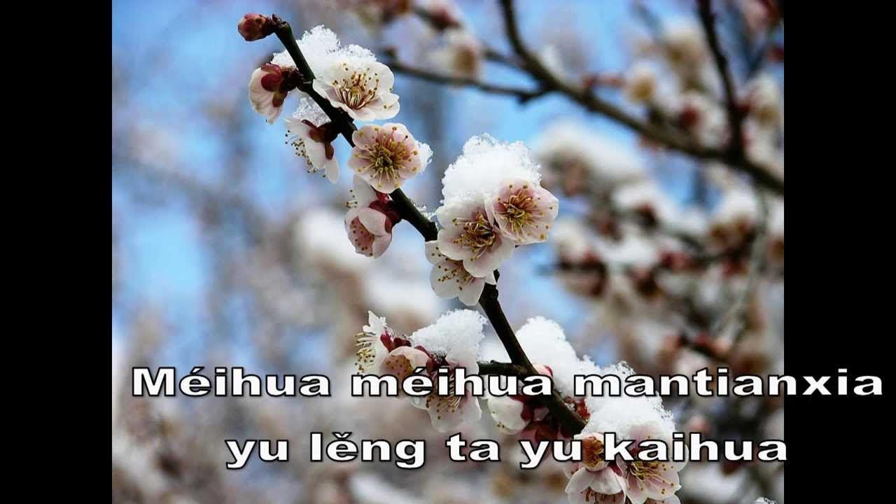 Mei Hua(Plum flower) - Teresa Teng Mei Hua(Plum flower) - Teresa Teng