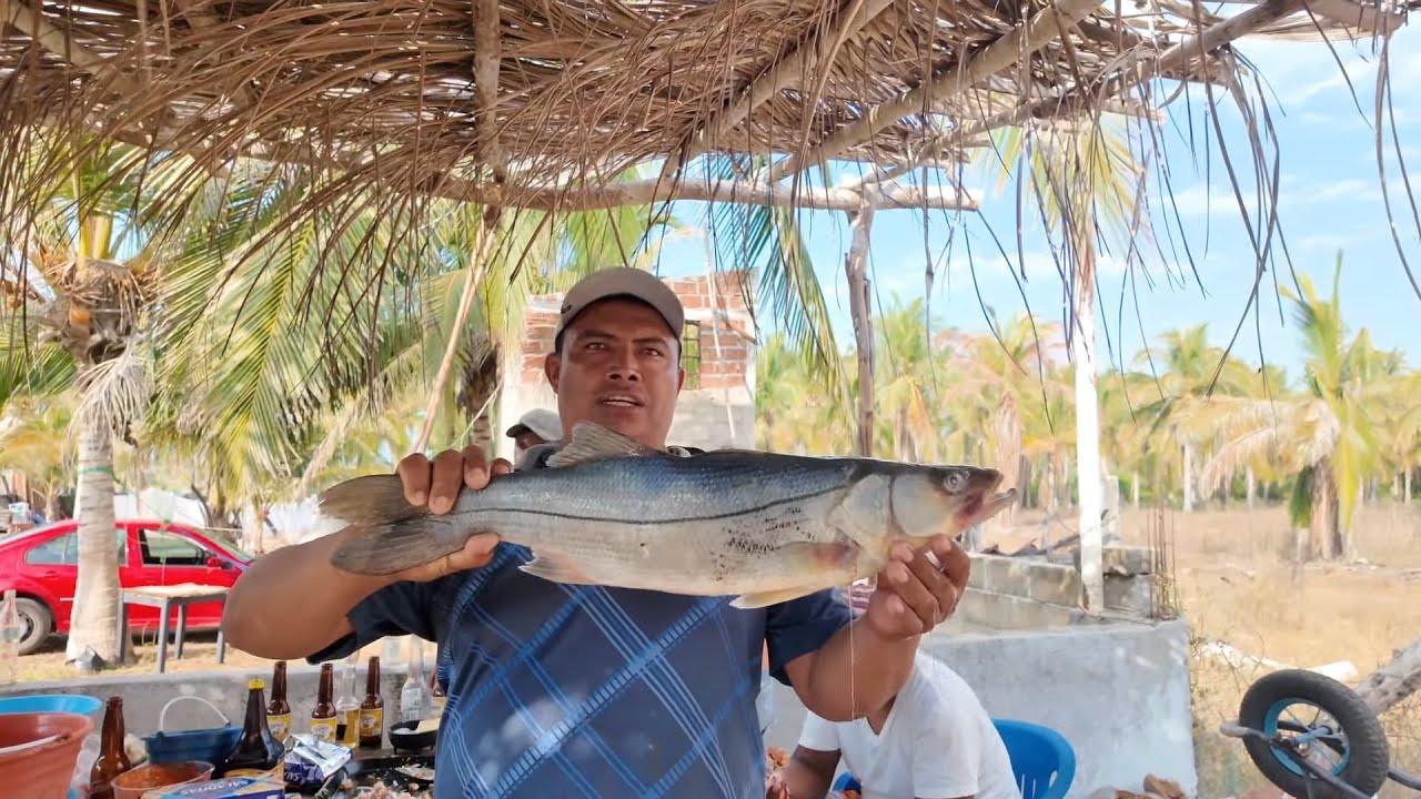 DE RUTA X LA COSTA CHICA. | COMIENDO OSTIONES Y MARISCOS EN PLAYA VENTURA, GUERRERO, MEX.