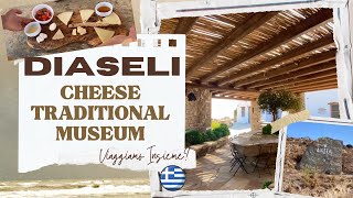 Diaseli Cheesery Traditional Museum - IOS