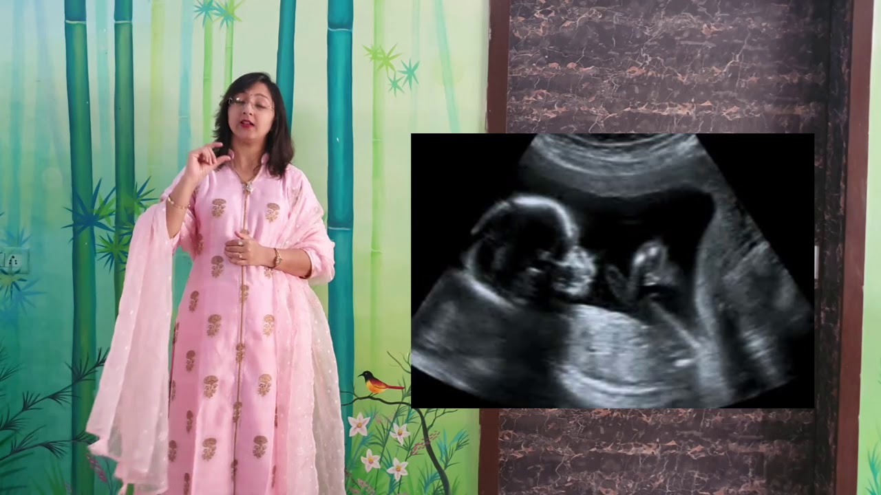 How Many Sonography Required In Pregnancy How Many Sonography Required In Pregnancy
